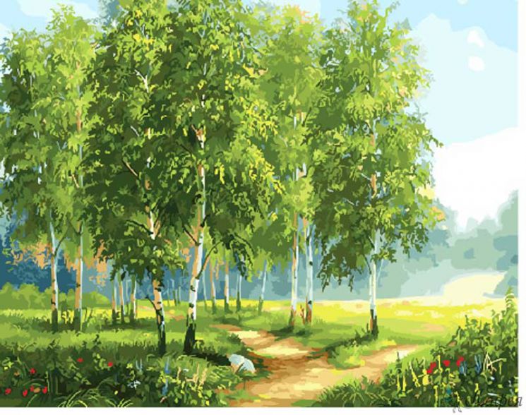 GX 29340 Картина по номерам Paintboy "Березовая роща"