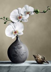 Ag4643 Алмазная мозаика Гранни "Белая орхидея"